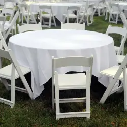 Home farm fresh eggs